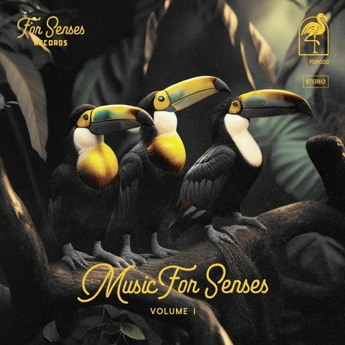 PREMIERE: Mariusso - Get In Memory (Original Mix) [For Senses Records]