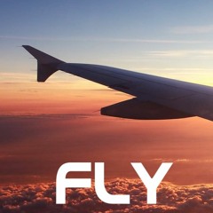 Fly