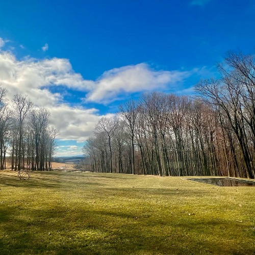 Dropping In: Uninhibited