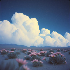 Ye Who Would Read the Sky (Pay It Forward)