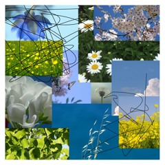 Voices in the Wind