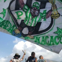 MC LELE 22 - PEDI PRA SE UNIR ( DJ LELE DE REALENGO )