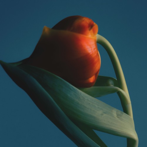 Brunch Deep Vibes In Quarantine Vol.1