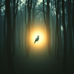 Dj.DamianR - Oh Holy Spirit, Guide My Way (Folk Pop)