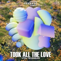 Vital Techniques - Took All The Love *OUT NOW*