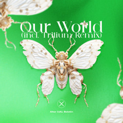 Premiere | Alter (UA) & Bolotin - Our World [Axiom Music]