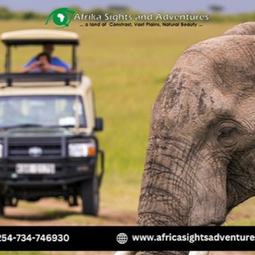 Stream Enjoying The Best Wildlife Adventure Activities While In Kenya