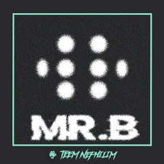 MR.B