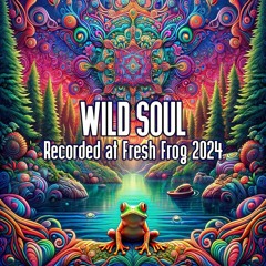 Wild Soul - Recorded at TRiBE of FRoG Fresh Frog - February 2024