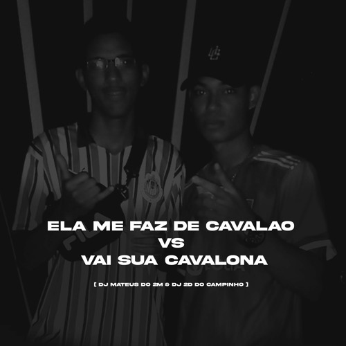 ELA ME FAZ DE CAVALAO vs VAI SUA CAVALONA [ DJ MATEUS DO 2M & DJ 2D DO CAMPINHO ]
