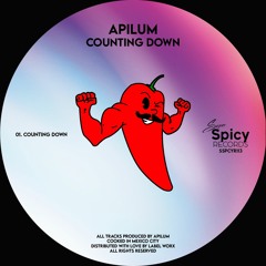 Counting Down - Apilum - Original Mix