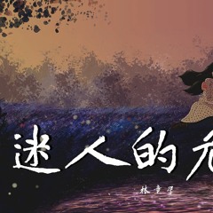 林童学 - 迷人的危险【動態歌詞/Lyrics Video】