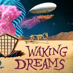 Burning Man 2022 Waking Dream - Breathwork Journey