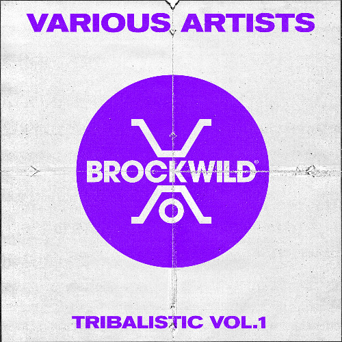 Elijah Wolfe - Do It Like Me - [Brock Wild]