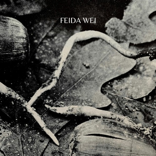 Feida Wei - Polaris / Púrpura