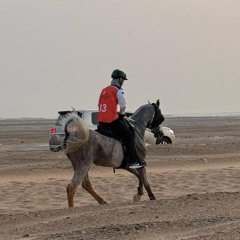 Mushup Al Qudra🐎🔥.