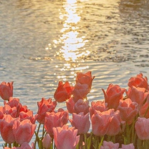 all the words i wish i said (Prod.suho)