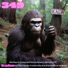 #349 • Live on KALW 91.7 FM San Francisco Bay Area • November 23, 2025