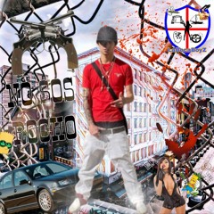 VOS NO SOS UN ROCHO - CHIEFFTOTO