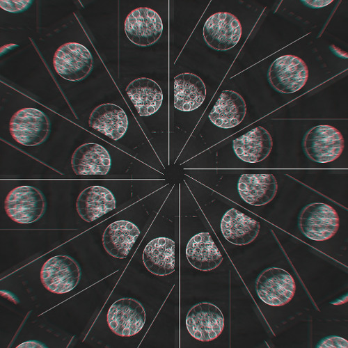 Next Level | FREE DOWNLOAD |