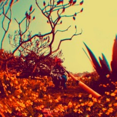 Wildflowers Part I (Mix 2025)