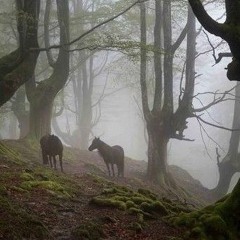 The Piano & Violin Versions of Rush E Played at the Same Time