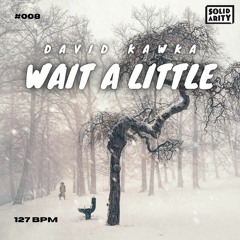 Wait A Little - David Kawka
