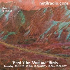 Netil Radio