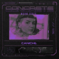 Concrete Mixing Series // 102 Caniche