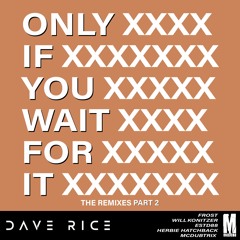 Dave Rice - Only If You Wait For It (Herbie Hatchback Radio Edit)