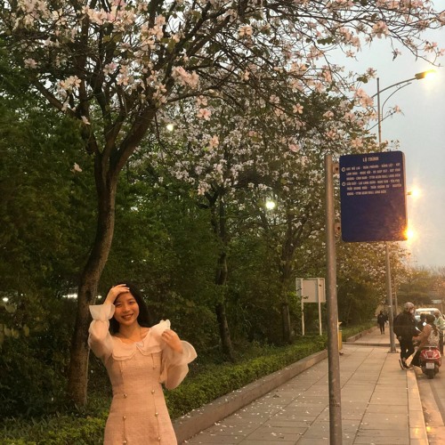 siêu thần tượng ko đẹp bằng em