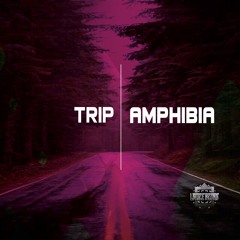Amphibia - Trip ( Original Mix )