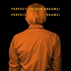 Perfect (In Our Dreams)