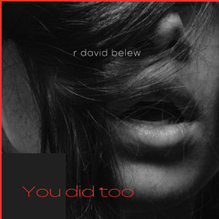 David Belew - So Did You