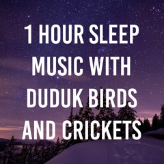 1 Hour sleep music with duduk birds and crickets binaural, theta, delta, beta, alpha waves, 528hz,