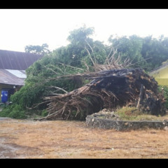 DAHSYATNYA 2020 - Tiara Ft. Astrid - Terpukau