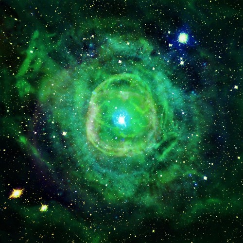 D E C E M B E R - 2 0 2 1