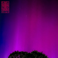 Star Shopping-Cover (prod.Voidripper & sinisterstudios)