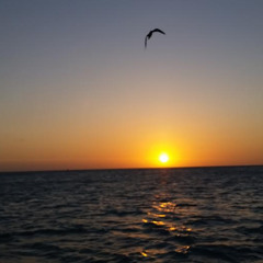 Heavenly