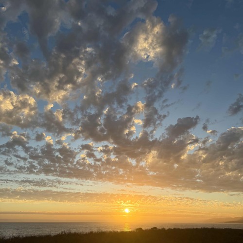 out of placement! ft Adonijah