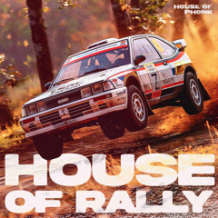 MAIS RALLY