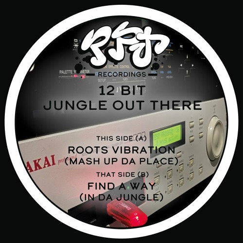 12bit Jungle Out There - Roots Vibration (Mash Up Da Place)