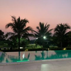 Gặp Mẹ Trong Bar