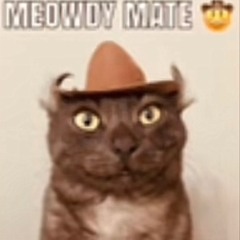 Overture to the sun remix low quality sped up