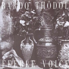 Bardo Thödol - Silver Stug