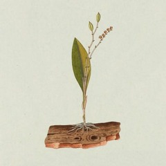 private outdoor space