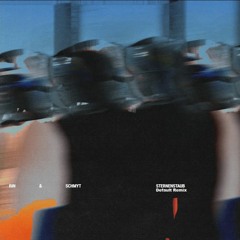 RIN & Schmyt, Miksu/Macloud - Sternenstaub (Default Remix)