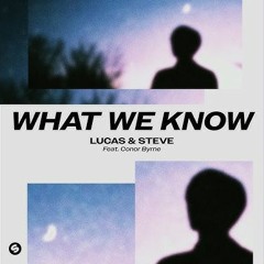 What We Know 2.0