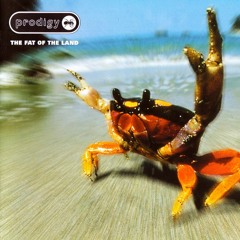 the Prodigy - Narayan (The Fat of the Land)