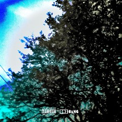 BOXGANG ARMY w/ r0th, JUT, BH MALICE & treez (prod. cabber)